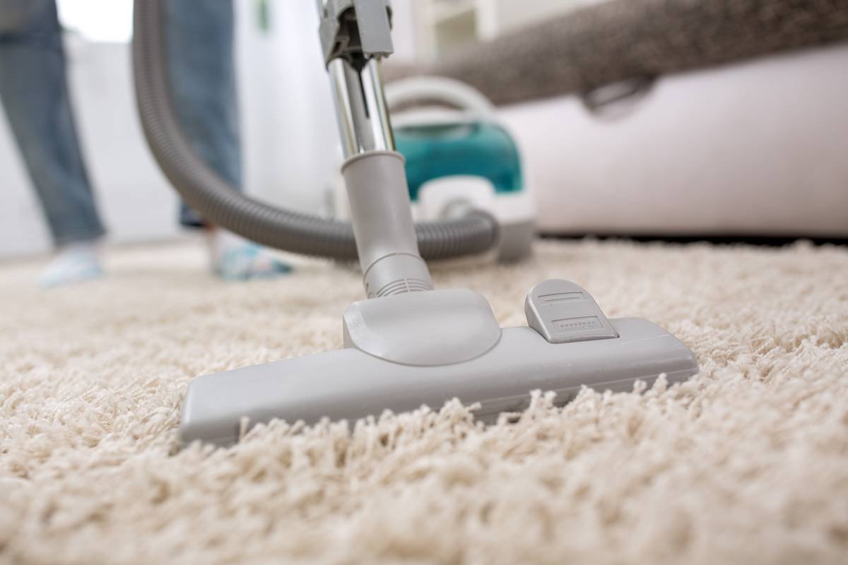 steamaid carpet cleaning
