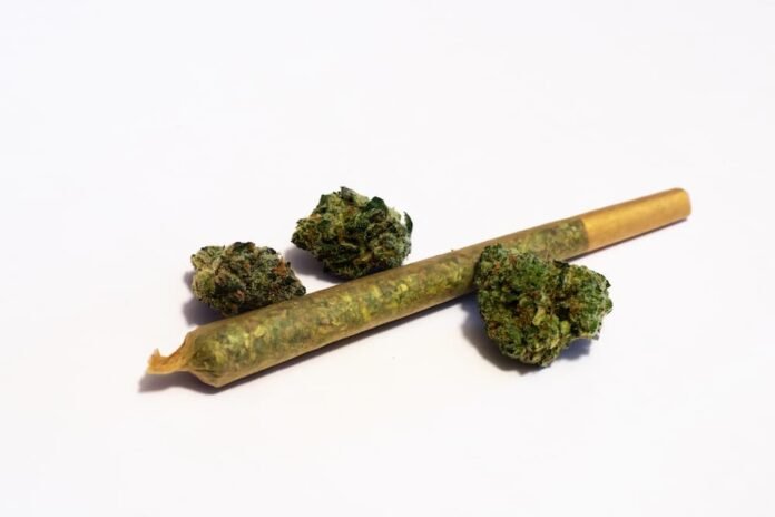Cannabis-bud-and-pre-rolls-image-FLUENT